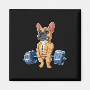 Bulldog Gewichtheffen Fawn Deadlift Fitness Gym Fu Magneet