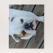 Bulldog gezicht legpuzzel (Verticaal)