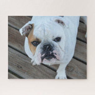 Bulldog gezicht legpuzzel