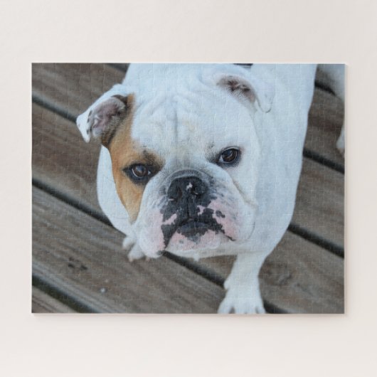 Bulldog gezicht legpuzzel (Horizontaal)