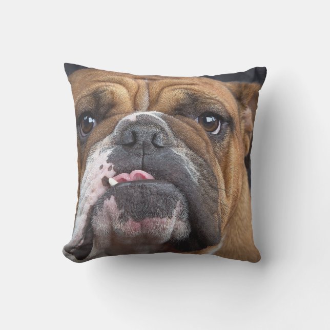 BULLDOG GEZICHTSFOCUS BUITENKUSSEN (Voorkant)