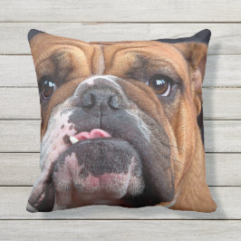 BULLDOG GEZICHTSFOCUS BUITENKUSSEN