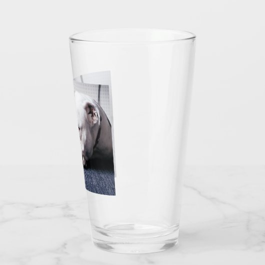 bulldog glas (Links)