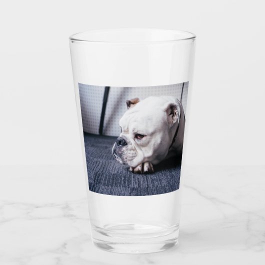 bulldog glas (Voorkant)