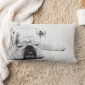 Bulldog Grey White Slaping Decor Sierkussen Kussen (Deken)