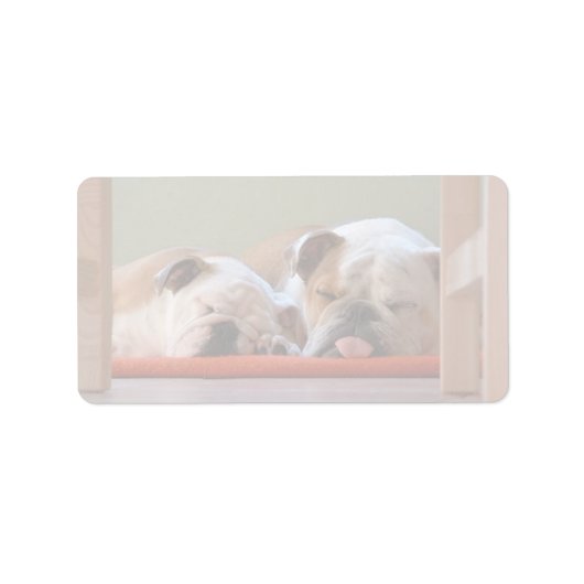 Bulldog Groep Slapend Etiket (Voorkant)