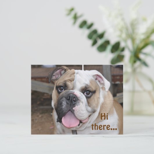 Bulldog "Hi daar"-Briefkaart Briefkaart (Staand voorkant)