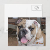 Bulldog "Hi daar"-Briefkaart Briefkaart (Voorkant / Achterkant)