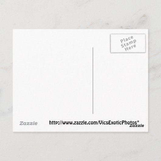 Bulldog "Hi daar"-Briefkaart Briefkaart (Achterkant)