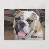 Bulldog "Hi daar"-Briefkaart Briefkaart (Voorkant)