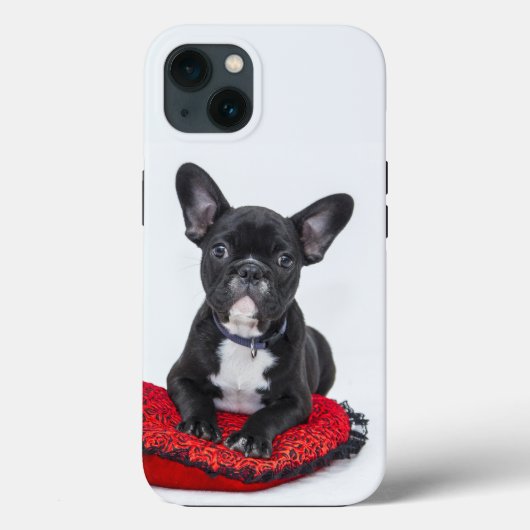bulldog Hoesje-Mate iPhone case (Achterkant)