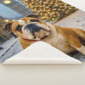 Bulldog Holiday  Sherpa Deken (3/4)