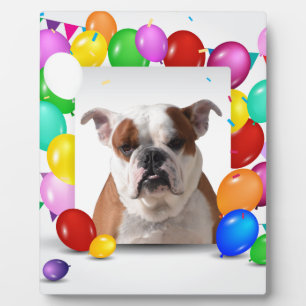 Bulldog Hond met kleurrijke ballonnen verjaardagst Fotoplaat