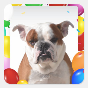 Bulldog Hond met kleurrijke ballonnen verjaardagst Vierkante Sticker