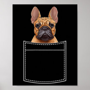 Bulldog In Borstzak Franse Pocket  Poster