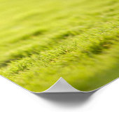 Bulldog in field poster (Hoek)