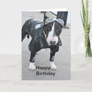 Bulldog in Gothic Outfit Happy Birthday Card Kaart