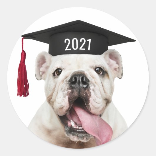 Bulldog in Graduation Cap met Klasse Jaar Ronde Sticker (Voorkant)