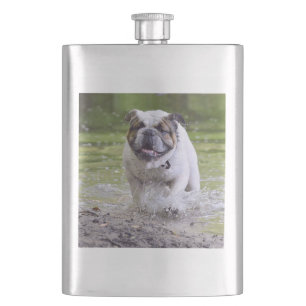 bulldog in het water flacon