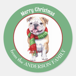 Bulldog in rode en groene kerstsjaal ronde sticker