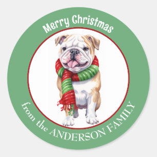 Bulldog in rode en groene kerstsjaal ronde sticker
