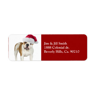 Bulldog in Santa Hat Kerstmis Etiket