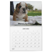 BullDog-jongen Kalender (Jan 2027)