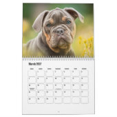 Bulldog Kalender (Mar 2027)