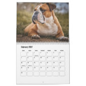 Bulldog Kalender (Feb 2027)