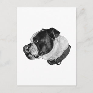 Bulldog Kalm Mail Briefkaart