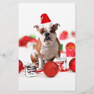 Bulldog kerstcadeau doos Ornamenten rode kerstmuts Briefpapier
