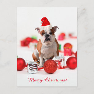 Bulldog kerstcadeau doos Ornamenten rode kerstmuts Feestdagenkaart