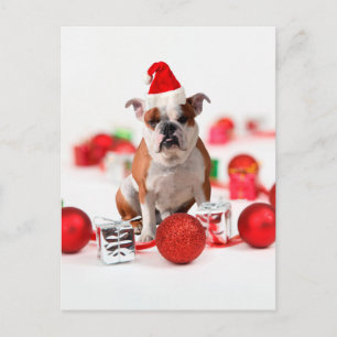 Bulldog kerstcadeau doos Ornamenten rode kerstmuts Feestdagenkaart