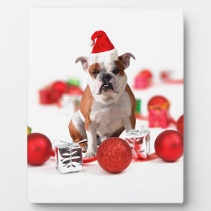 Bulldog kerstcadeau doos Ornamenten rode kerstmuts Fotoplaat