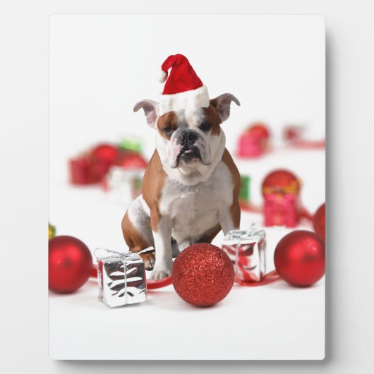 Bulldog kerstcadeau doos Ornamenten rode kerstmuts Fotoplaat (Voorkant)