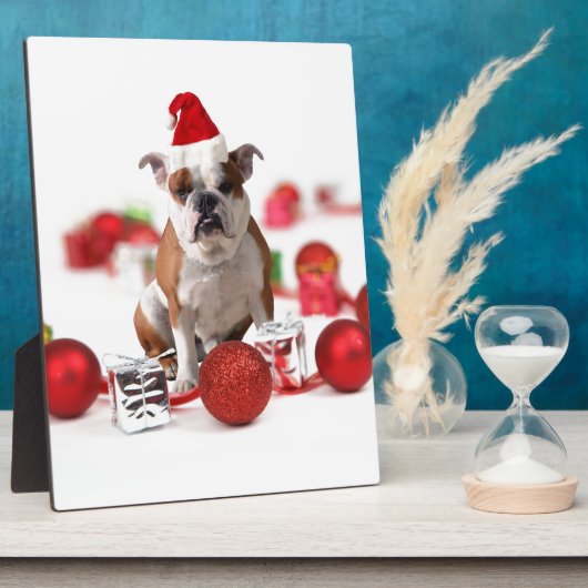 Bulldog kerstcadeau doos Ornamenten rode kerstmuts Fotoplaat (Zijkant)