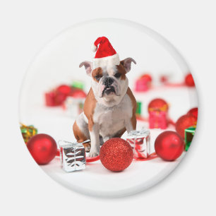 Bulldog kerstcadeau doos Ornamenten rode kerstmuts Magneet