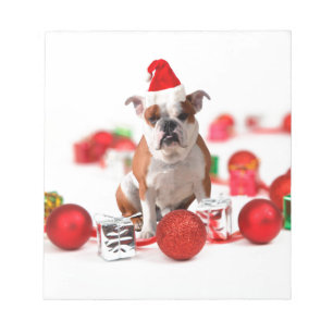 Bulldog kerstcadeau doos Ornamenten rode kerstmuts Notitieblok