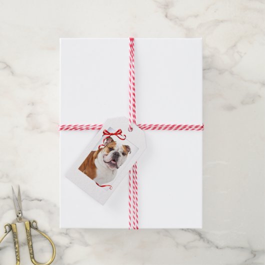 Bulldog Kerstcadeau Tags Cadeaulabel (Met Touw)