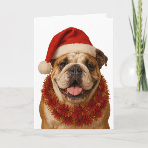 Bulldog Kerstman hoed Kerstkaart Kaart