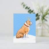 Bulldog Kerstrendier Rood en wit Feestdagenkaart (Staand voorkant)