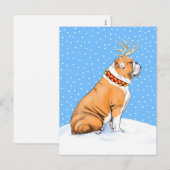 Bulldog Kerstrendier Rood en wit Feestdagenkaart (Voorkant / Achterkant)