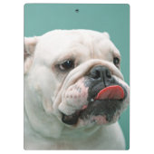 Bulldog Klembord (Achterkant)