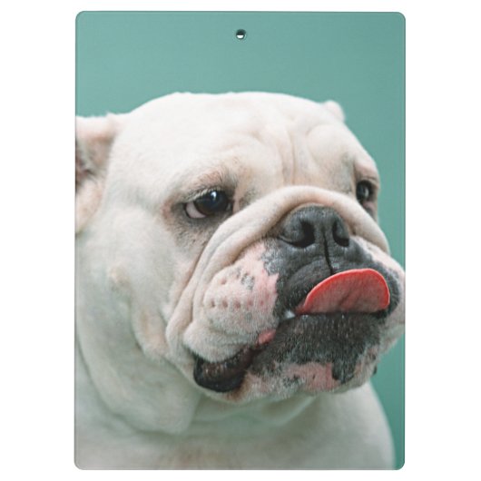 Bulldog Klembord (Achterkant)