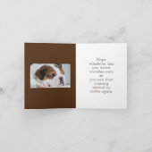 BULLDOG KRIJGT GOED KAART (Binnen)