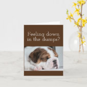 BULLDOG KRIJGT GOED KAART (Gele Bloem)