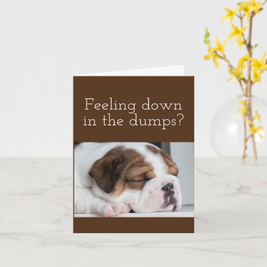 BULLDOG KRIJGT GOED KAART (Gele Bloem)