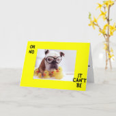 BULLDOG KRIJGT GOED WISSEN KAART (Gele Bloem)