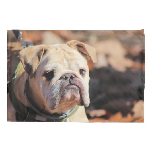 Bulldog Kussensloop (Achterkant)