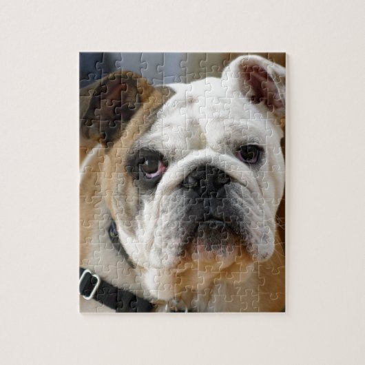 Bulldog Legpuzzel (Verticaal)